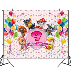 Decoration anniversaire Pat Patrouille toile de fond ballons 9 ans