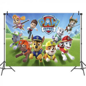 Decoration anniversaire Pat Patrouille toile de fond lequipe au complet