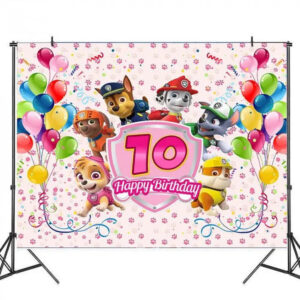 Decoration anniversaire Pat Patrouille toile de fond ballons 10 ans